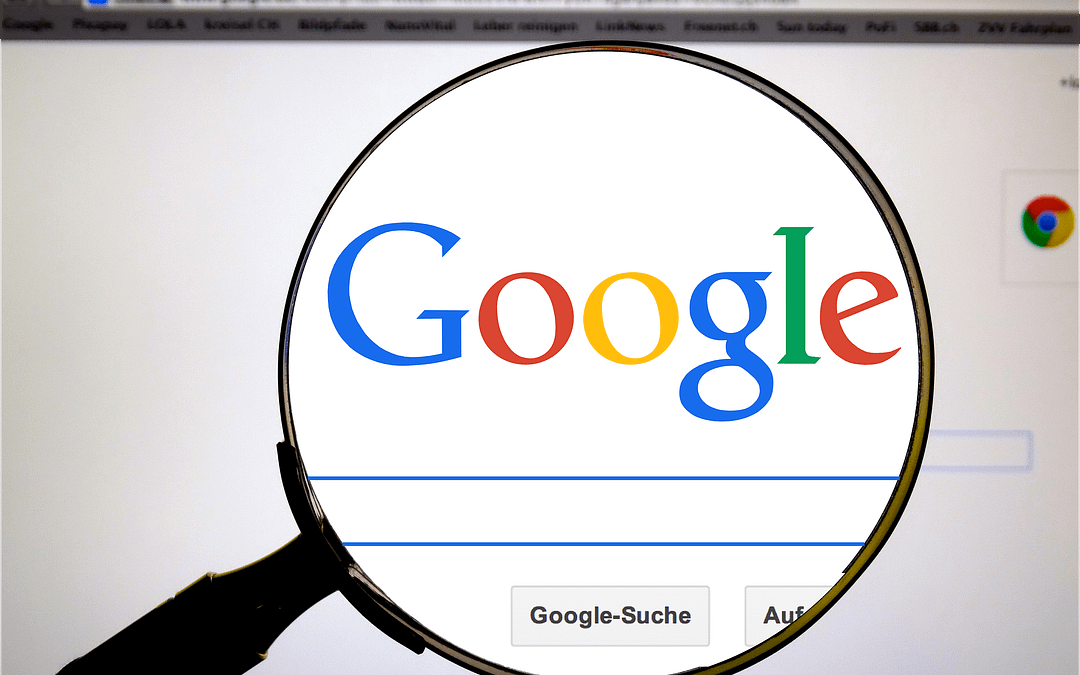 Google My Business New Feature